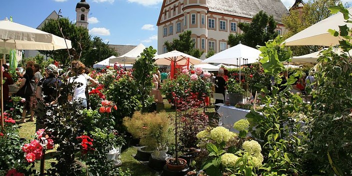 Rosenmarkt