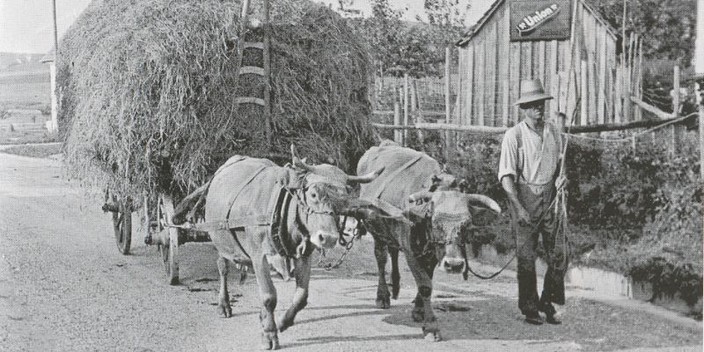 Einbringen der Heuernte