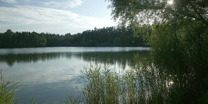 Nahrungsquelle Natursee